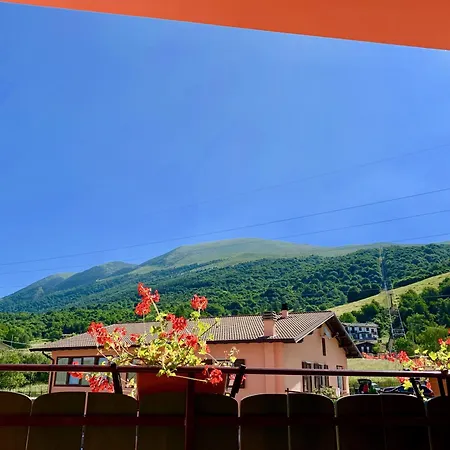 Edelweiss San Zeno di Montagna